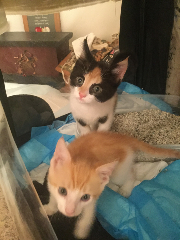 683F0B05-7AEB-4BB4-A942-8B52C27C6F36