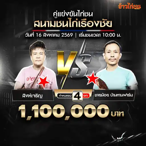 สิงห์เจริญ พบ ชายน้อย บ้านทานฟาร์ม สนามชนไก่เรืองชัย วันที่ 16 สิงหาคม 2569