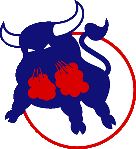 Birmingham_bulls