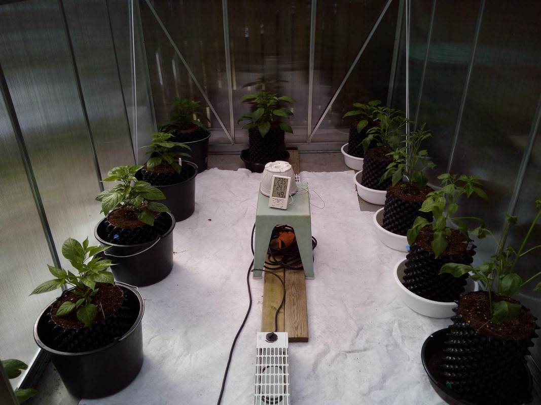 IMG_20180506_161859[1]