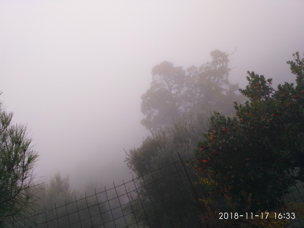 IMG-20181117-163349.jpg