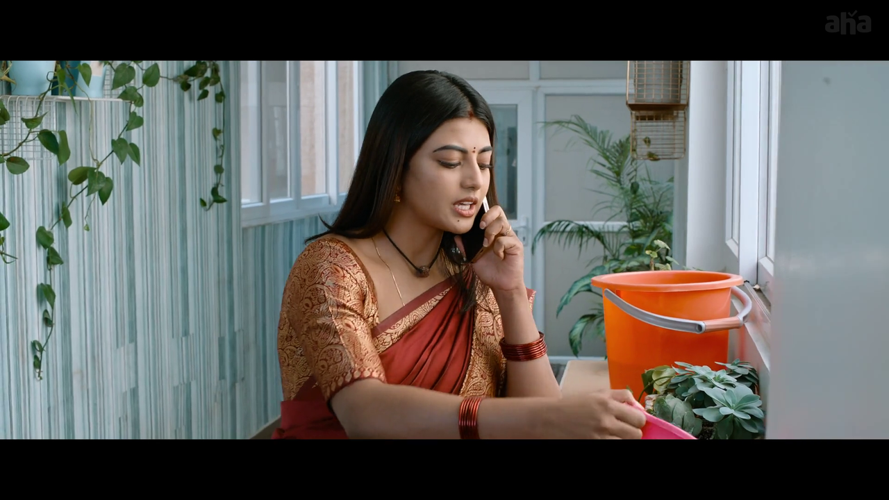 vlcsnap-2025-04-21-20h05m35s391