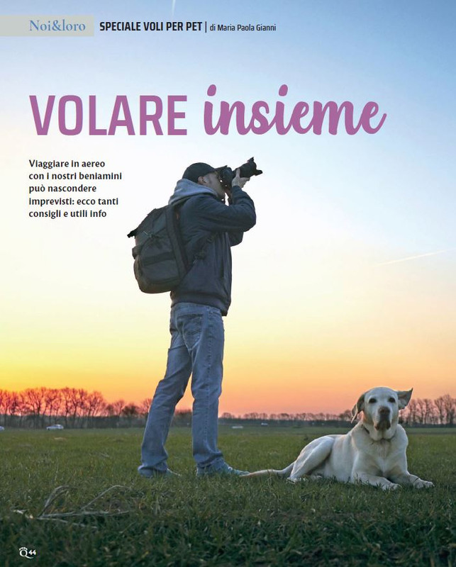 QuattroZampe Set 2022 (3)