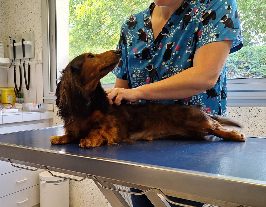 [Image: 20240724-174701.jpg]