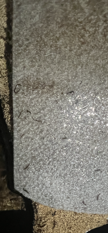 E1E134C6-FC73-40BA-8BFC-358EBD40A606