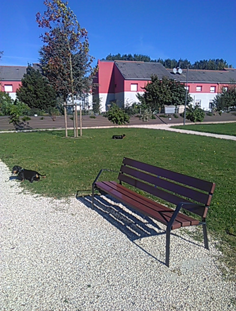 [Image: PANO-20211008-121754.jpg]