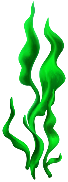 Elements (62)