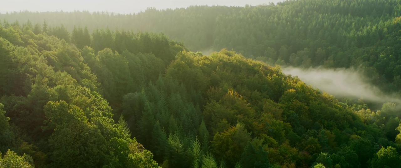 Sacrilege 2020 1080P Bluray HEVC Tornment666