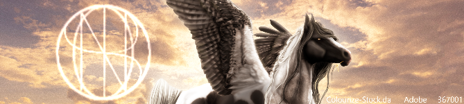 banner.png