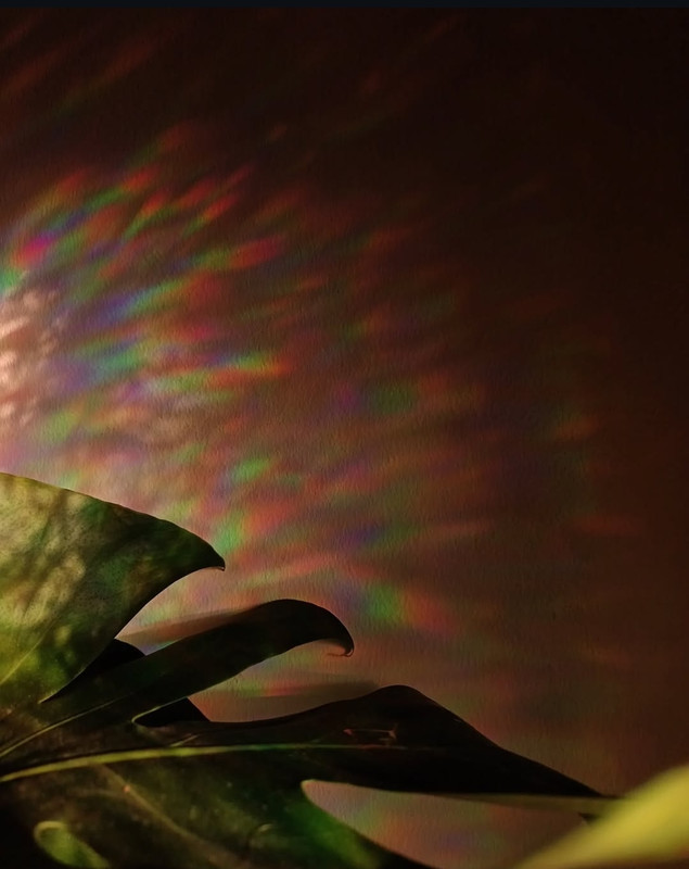 Screenshot_20250728_225016_com_instagram_android_ModalActivity