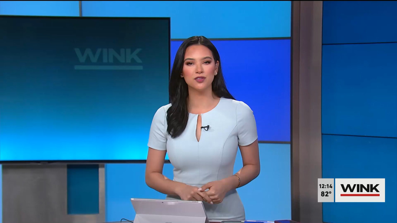 03.22 - 16.00.00 - The WINK Noon News. News..ts_snapshot_21.13.705