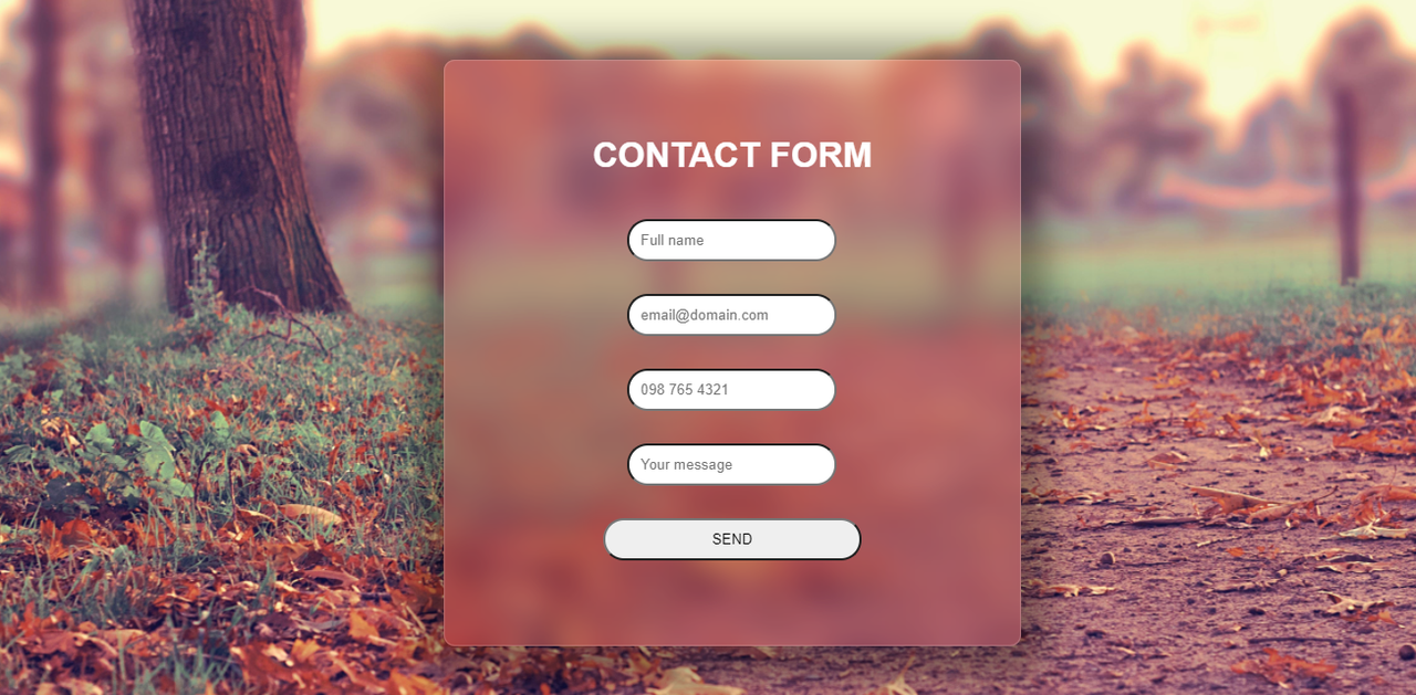 Contact Form