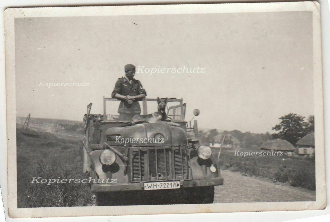 Foto Russland Kfz Pkw Schäferhund