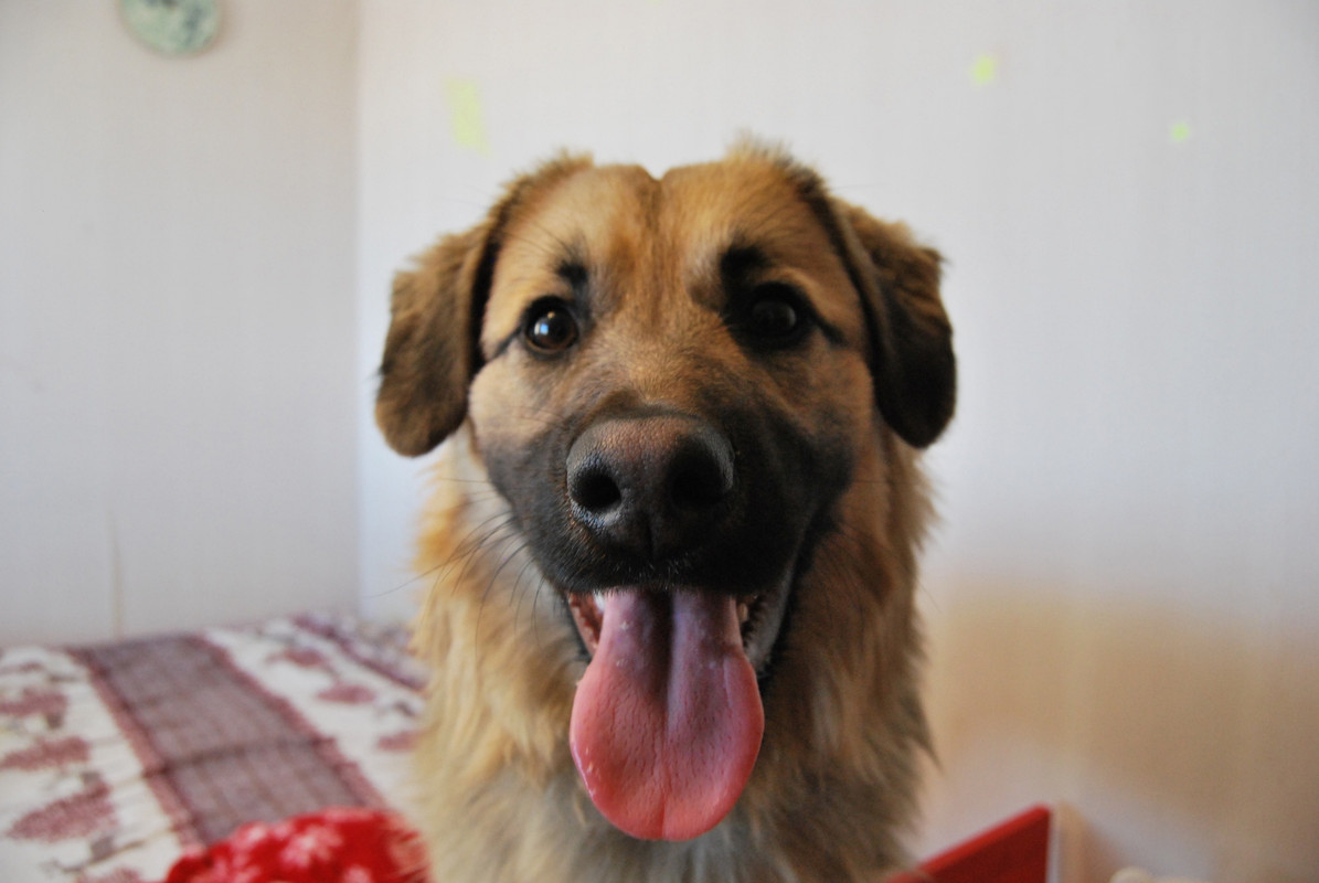 F6C84AE2-ED62-4949-BB0B-8F09943EF9E3