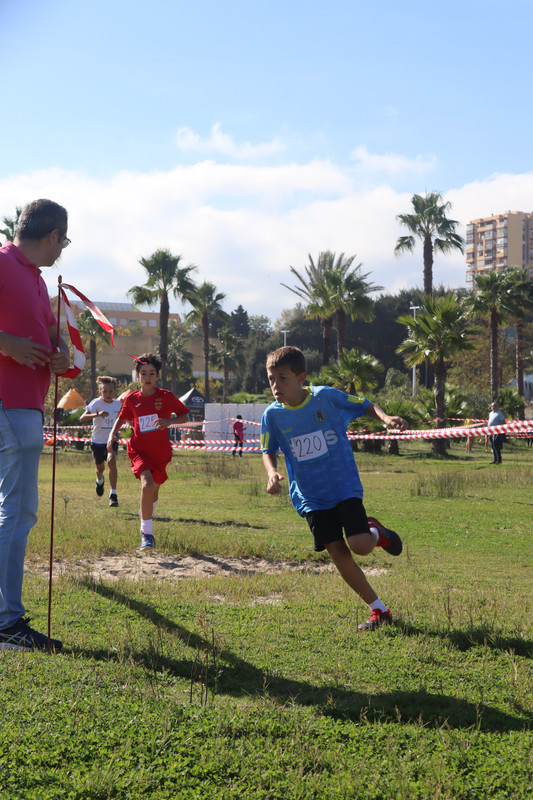 IMG-4253