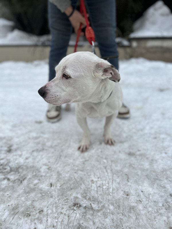 100C1B93-E4C1-4242-84E2-02DECC5C885D