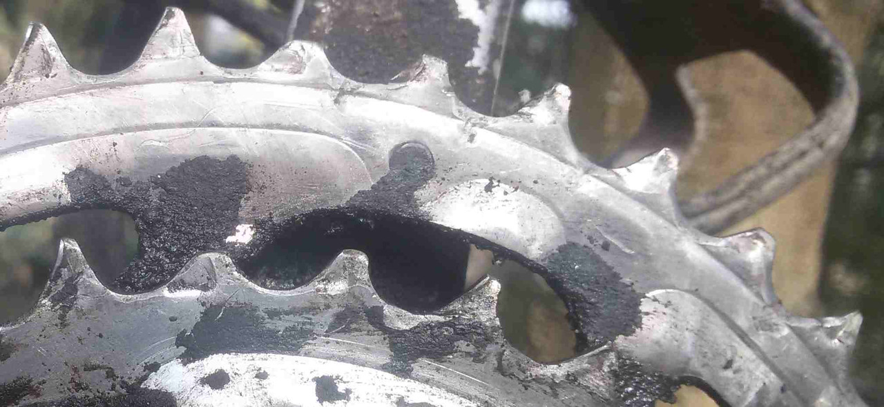 mongoose-prevodnik-stary-zuby