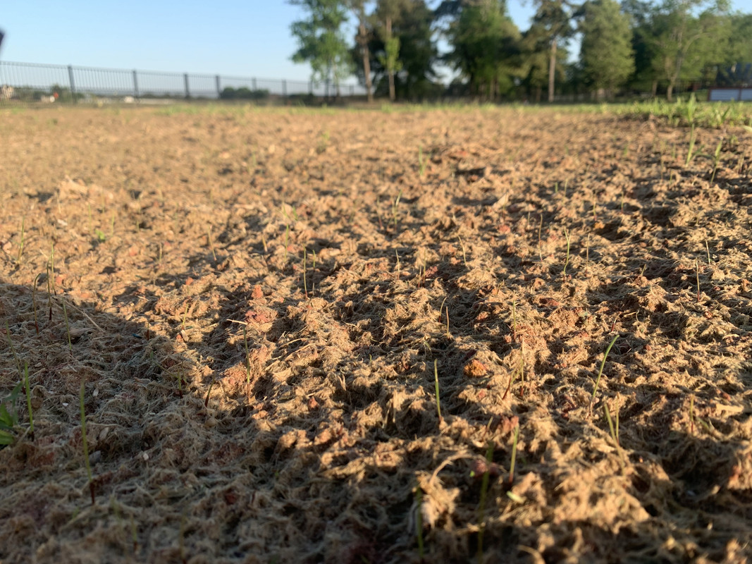 490FBC3E-78F0-4533-A659-B63D0166BBEF