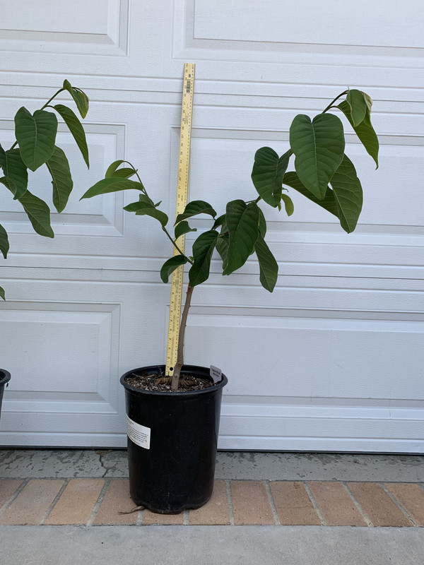 03D93A26-AABA-4FE0-9FA0-830473BD05B4