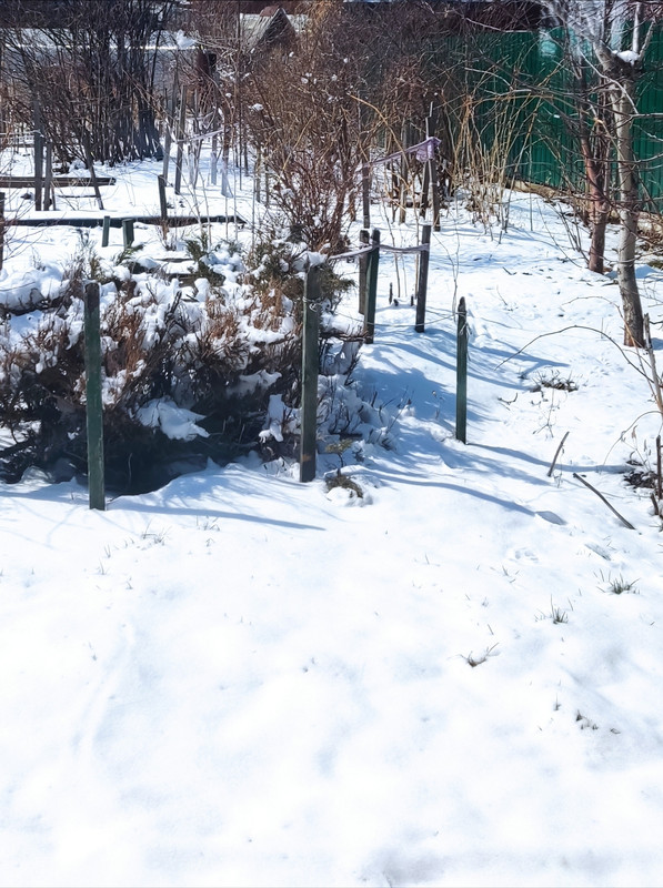 upload_2023_04_16_12_37_55_679