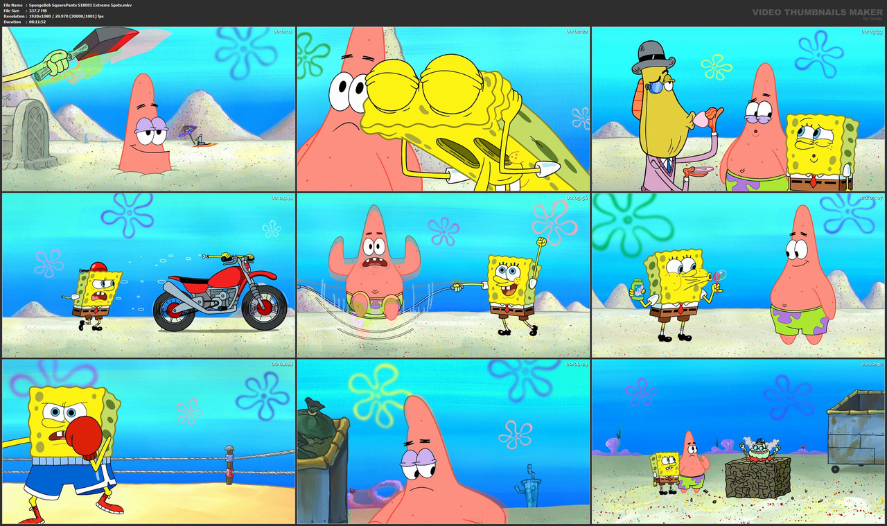 SpongeBob SquarePants S10E01 Extreme Spots.mkv