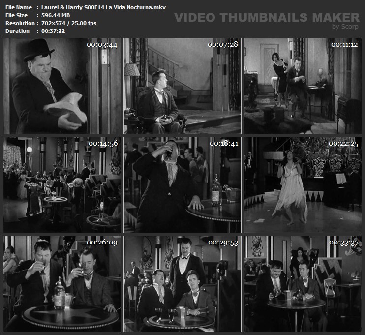 Laurel & Hardy S00E14 La Vida Nocturna.mkv