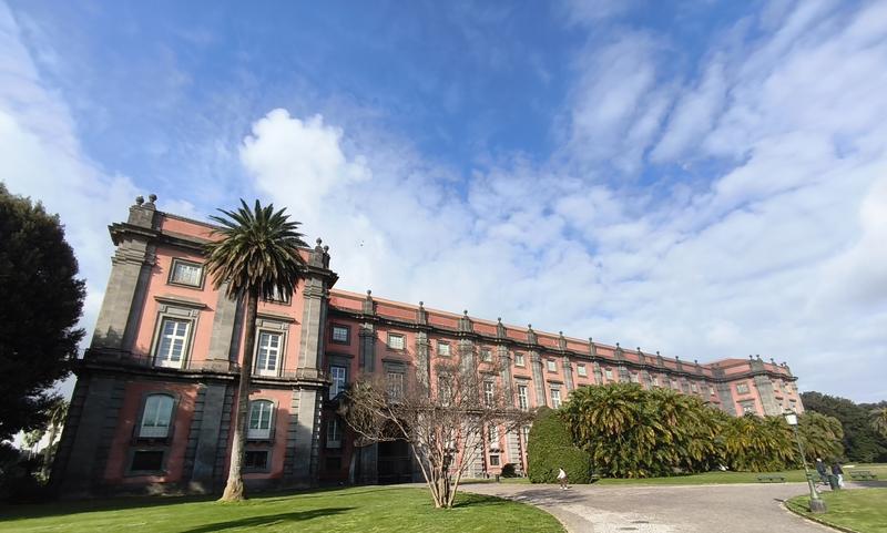 Roma y Nápoles: Bernini, Giorgione y mucho más. - Blogs de Italia - Nápoles: Museo de Capodimonte y Galerías de Italia. (8)