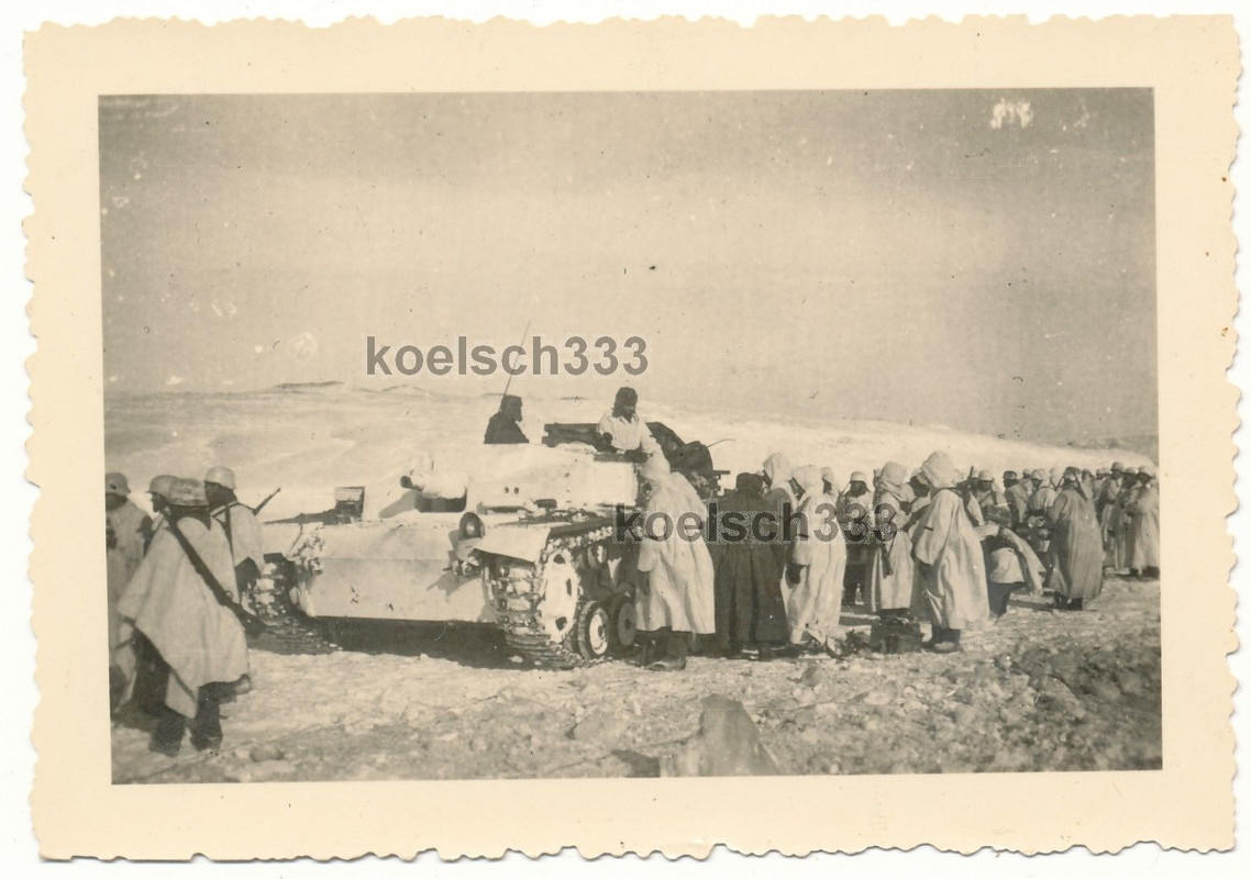 Cholm Front Sturmgeschütz Panzer Schneetarnung G