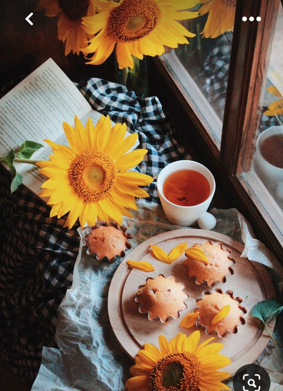 Screenshot_20230418_214251_Pinterest