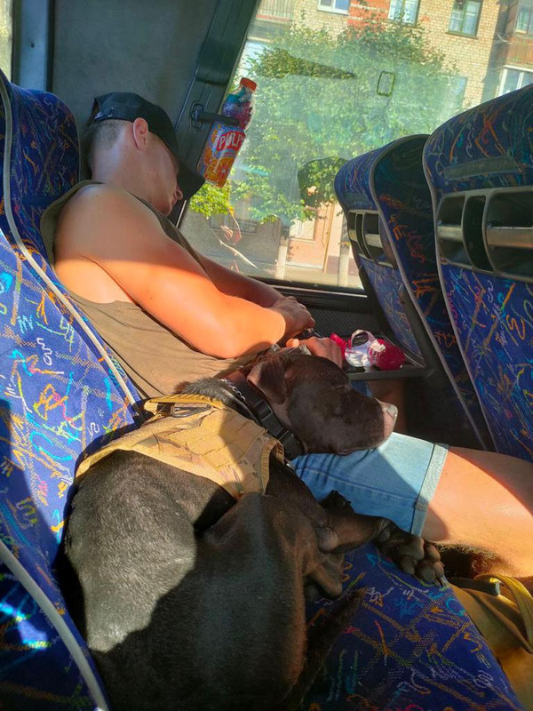 3C3CDF47-9976-48F8-AF8E-2816AB588D39