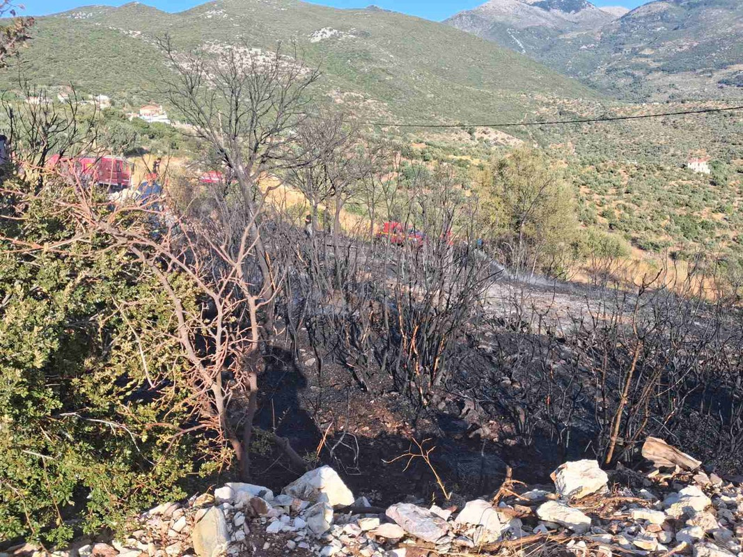 εικόνα_Viber_2025-09-10_17-51-00-128