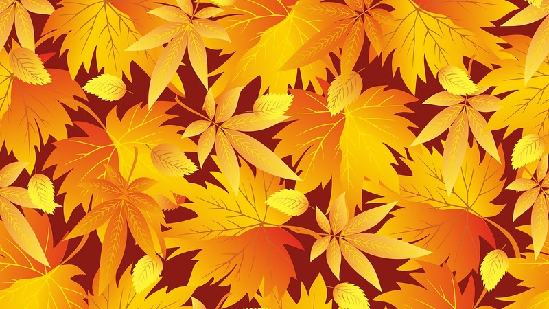 0_add74_5c0f07f_XL