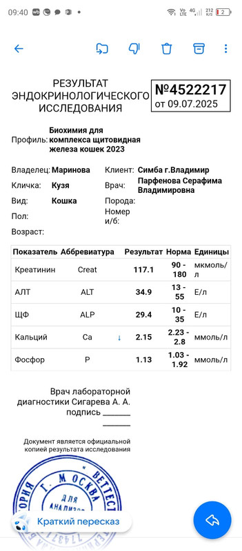 результаты анализов 09.07.25