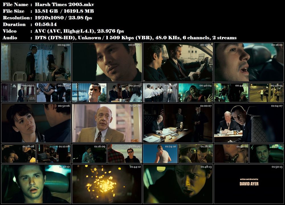 Re: Drsný časy / Harsh Times (2005)