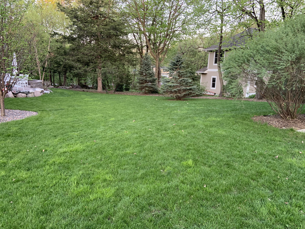 CFC0BE5B-558E-49A4-9C6F-0B150FC7AA04