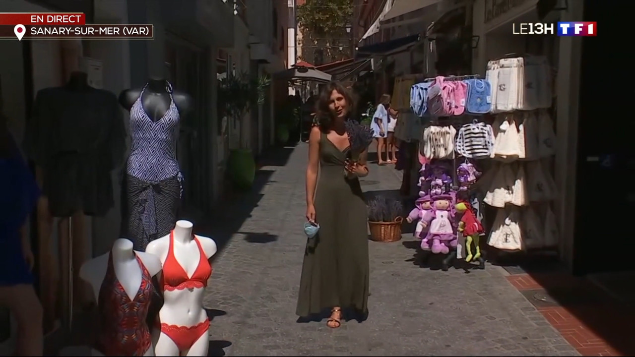 2020-08-26_13_00_TF1_Le-13h.mp4_snapshot_33.58.790