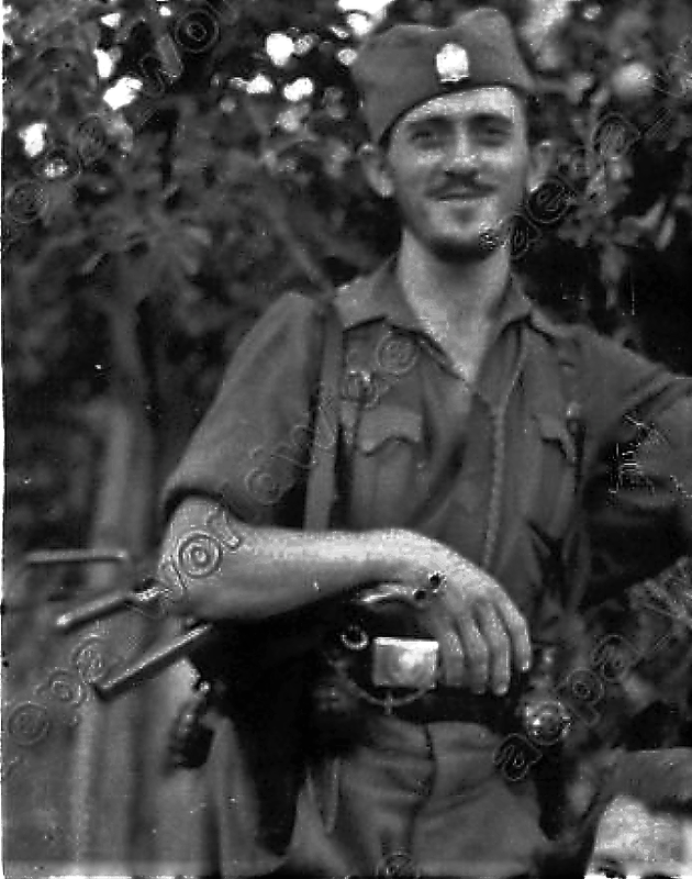 [Слика: Screenshot-2-6.png]