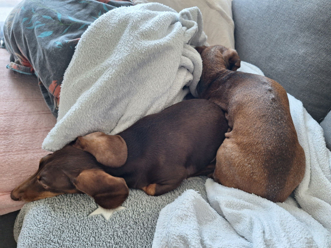 [Image: 20250818-082151.jpg]