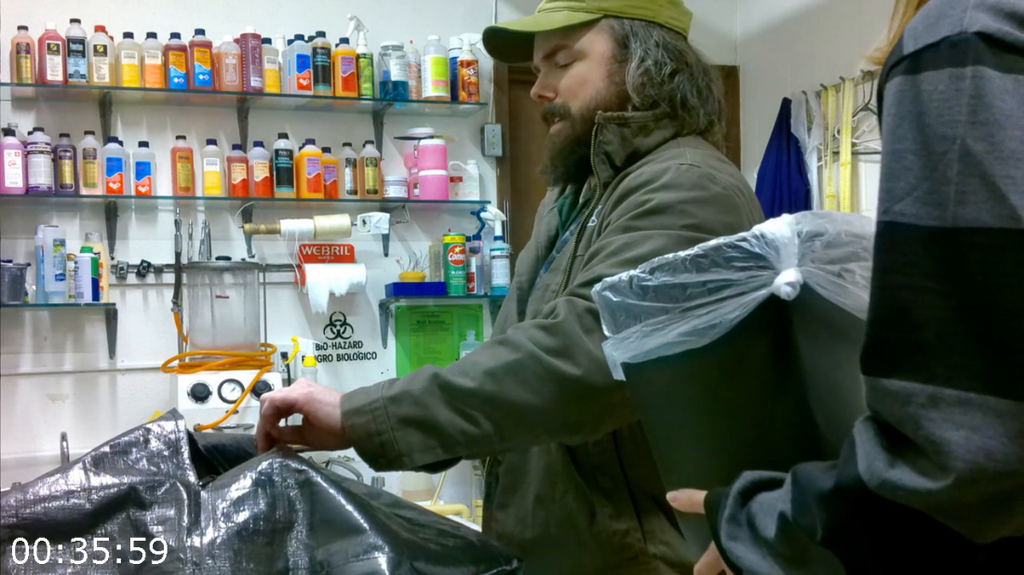 [Kép: The-Decedent-2025-720p-WEBrip-x264-AAC.png]