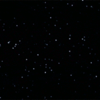 space-ships-av.gif