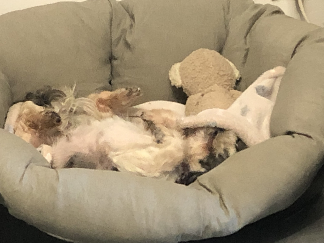 [Image: 5220858-B-BFC6-481-A-8-B05-5-B2-CB88-AEAFE.jpg]