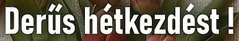 https://i.postimg.cc/KzBpy1dK/derus-hetkezdest.jpg