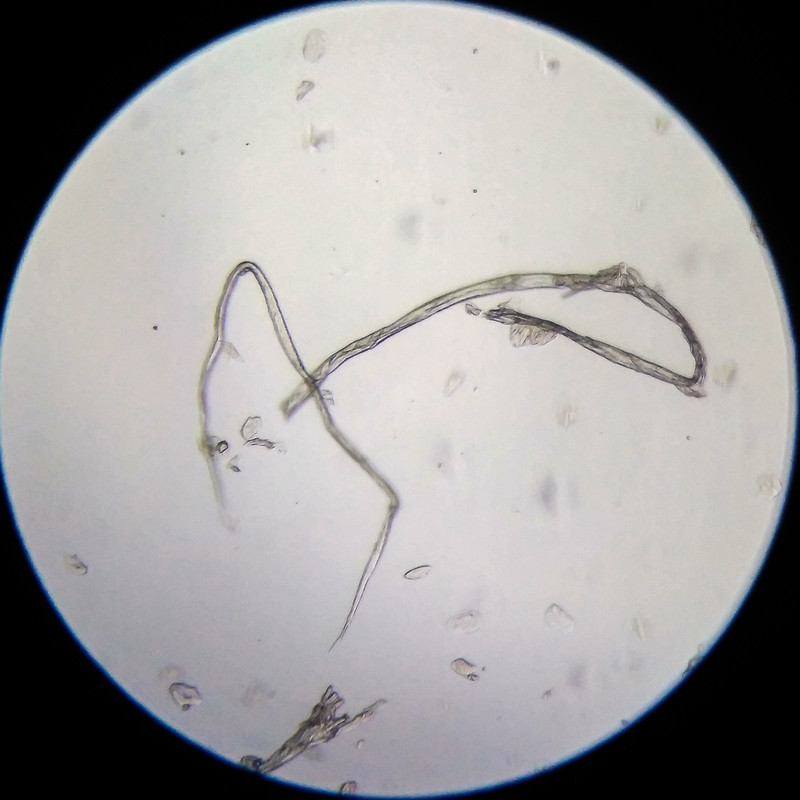 IMG 20250614 205502 HDR