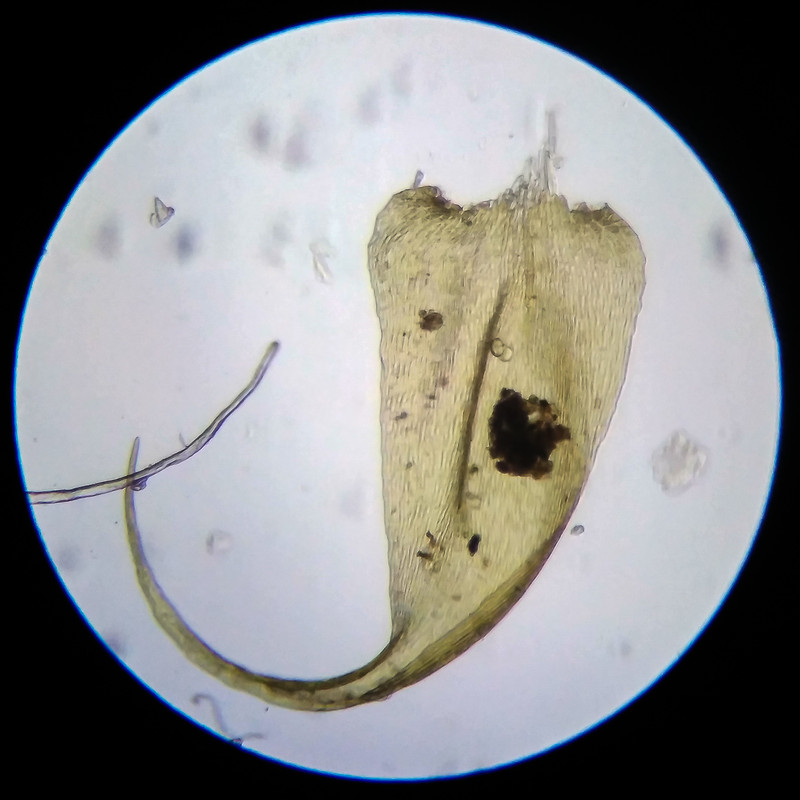 IMG 20250614 205405 HDR