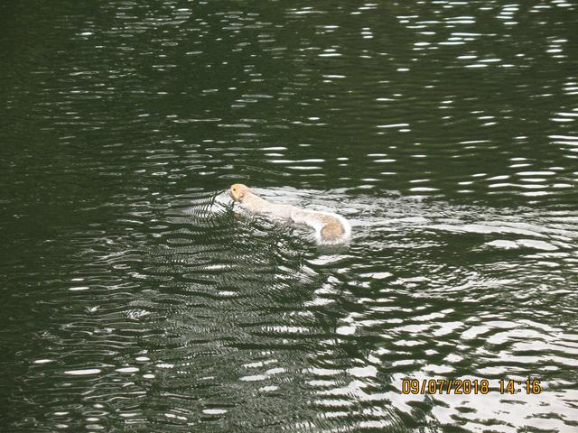 IMG-1665.jpg