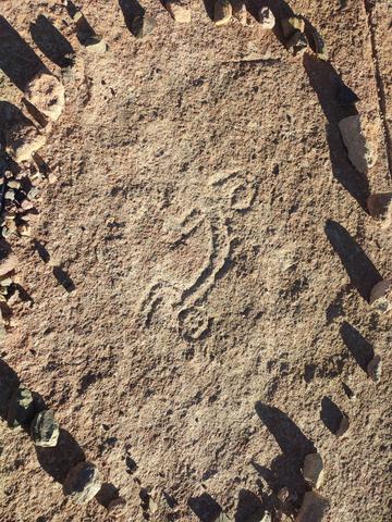 VOLCAN GALAN. LAGUNA DIAMANTE, FUMAROLAS. LAGUNA GRANDE - ARGENTINA INFINITA II/ TORRES DEL PAINE (2)