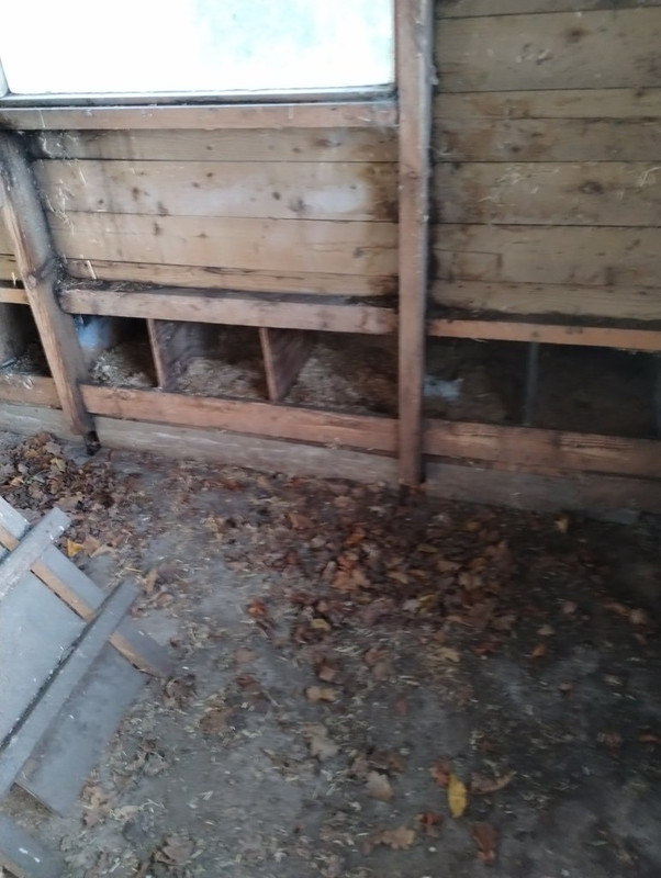 IMG_20250203_143230660