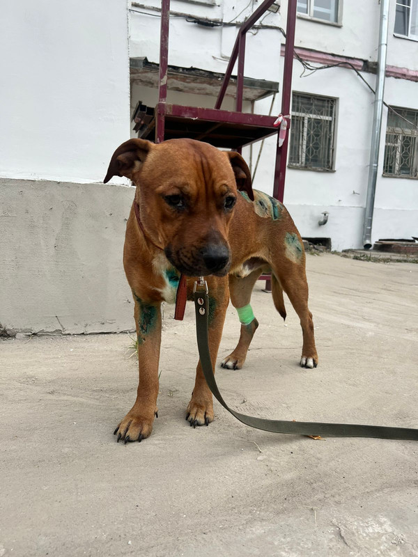 WhatsApp Image 2022-08-27 at 18.23.33 (1)