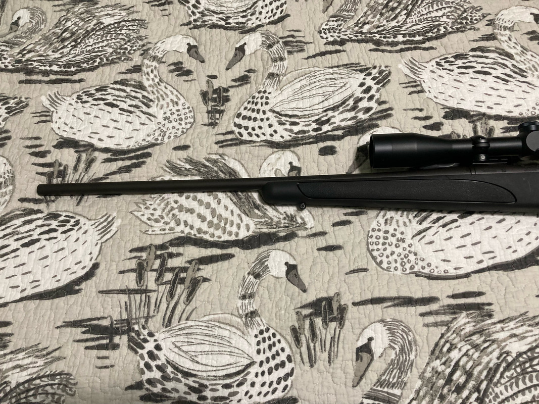 8C470D2C-956B-494E-A583-13CE9946A476