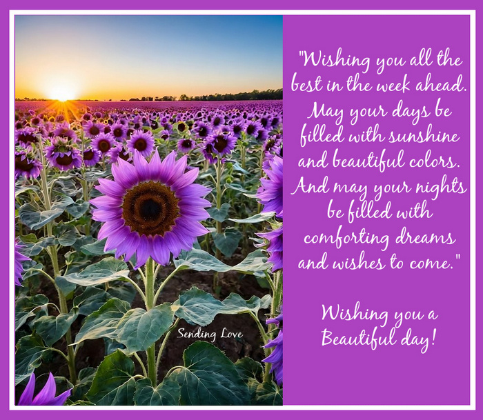 wishingyou